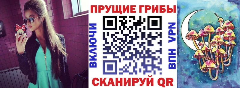 Галлюциногенные грибы MAGIC MUSHROOMS  Купить  Дегтярск 