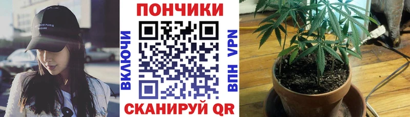 МАРИХУАНА сатива  Купить где  Дегтярск 
